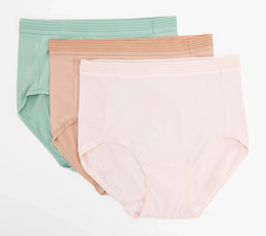 Breezies Mesh Illusions Stripe Full Brief Pack of 3- PALE BLUSH, LARGE - $16.73