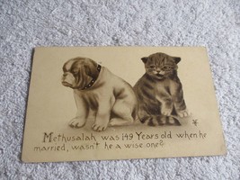 Dog and Cat Married  1910 Dog pet Humor Postcard Posted - £27.25 GBP