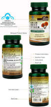 Reishi Ganoderma Lucidum Mushroom and Cordyceps Militaris Sinensis Extra... - $25.00
