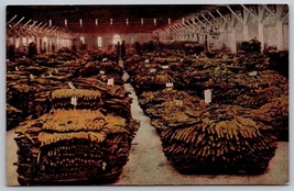 Vintage Tobacco Warehouse floor Postcard barn bundles Danvill Va - £7.83 GBP
