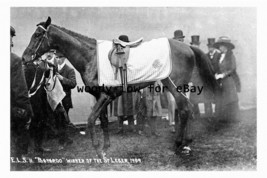 pt9212 - Doncaster Racecourse , Leger Winner , Bayardo , 1909 - Print 6x4 - $3.00
