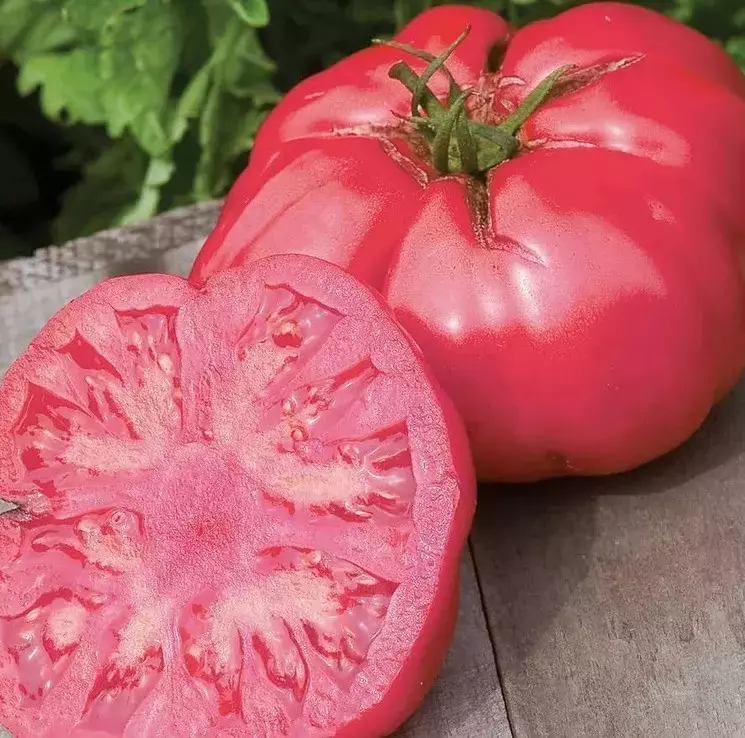 KS Giant Beefsteak Tomato  Non Gmo Greenhouse Suppliers Planting 10 Seeds  - $9.39