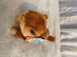 Soft Toy - FREE Postage squirrel 6 inches - $9.00