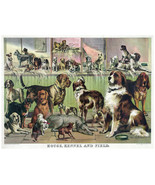 16x20&quot; CANVAS Decor.Room art print.House Kennel Dog breeds.Pet love.6019 - $46.53