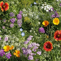 Ship From Us Beneficial Bugs Flower &amp; Herb Seed Mix ~8 Oz Packet Seeds, TM11 - £107.79 GBP