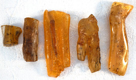 5 Pieces Old Natural Raw Untreated Genuine Baltic Amber Rough Stone 28.5... - $52.00
