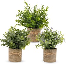 Pengyee Artificial Plant, 3 Pcs. Mini Plants Artificial Potted Set Fake Green - £32.04 GBP