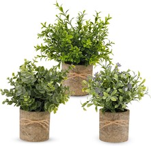 Pengyee Artificial Plant, 3 Pcs. Mini Plants Artificial Potted Set Fake Green - £32.09 GBP