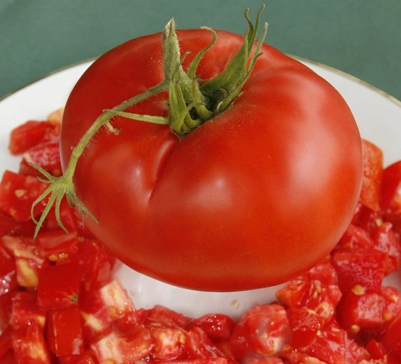 &quot;DELICIOUS &quot; VARIETY TOMATO SEEDS*  15 COUNT PKT* GIANT SLICER*MEATY*FEW... - $7.11 CAD