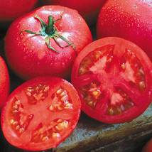 FRESH Eva Purple Ball | Tomato Seeds | Heirloom | Organic | Rare Variety - $12.00