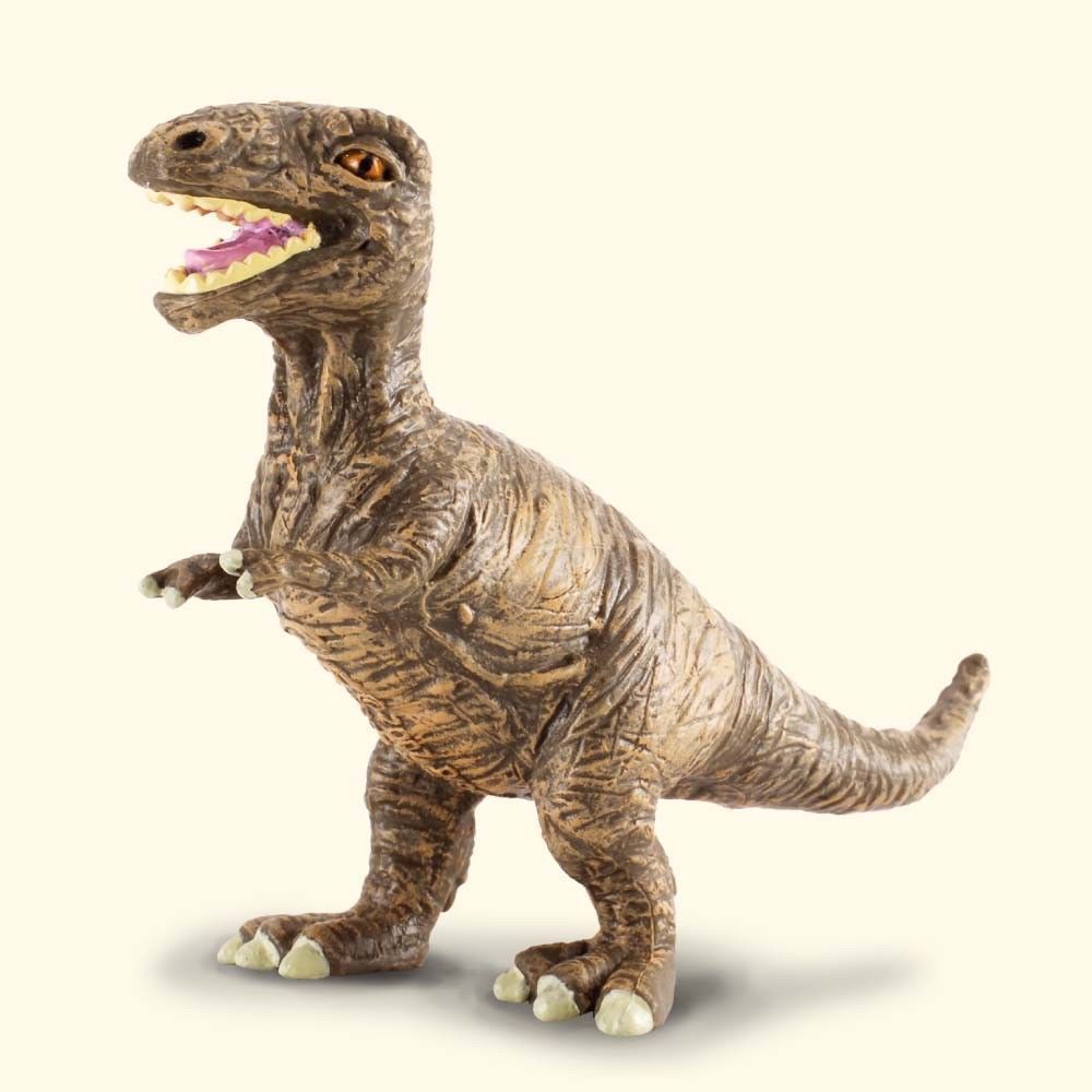 Primary image for Breyer CollectA 88197 Tyrannosaurus Rex Baby dinosaur realistic well made