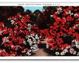 Azaleas in Middleton Gardens Charleston SC V-Mail Linen Postcard R28 - $4.50