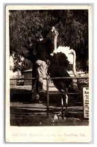 RPPC Feeding Time Cawston Ostrich Farm Pasadena CA California UNP Postcard V10 - £7.74 GBP