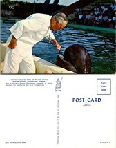 Florida Marineland Doctor Brushes Teeth of Trained Whale Vintage Postcard - £7.51 GBP