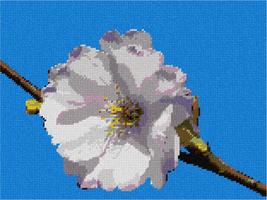 pepita Single Cherry Blossom Needlepoint Canvas - £73.13 GBP+