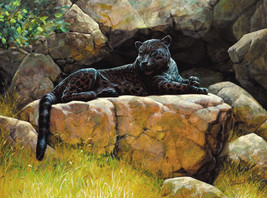 Framed canvas art print Giclee Black panther Jaguar wild cat animal jungle - £31.91 GBP+