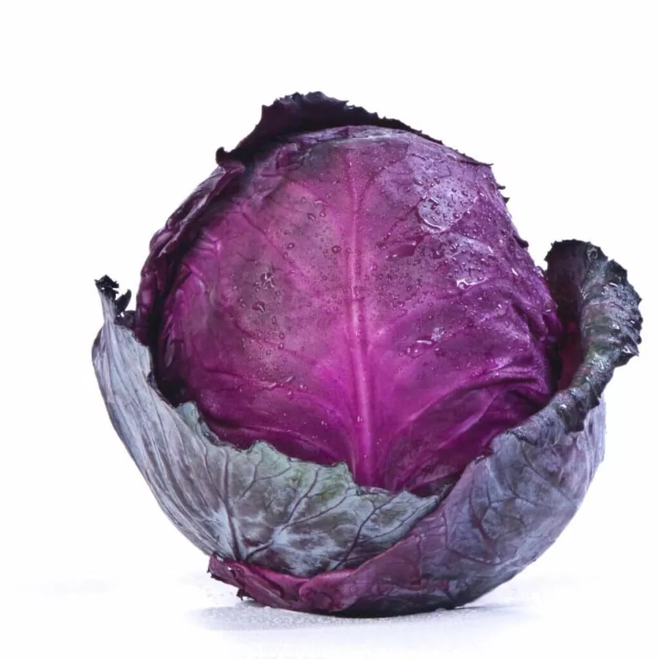 500 Ruby Ball Cabbage Seeds For Garden Planting USA Seller - £8.27 GBP