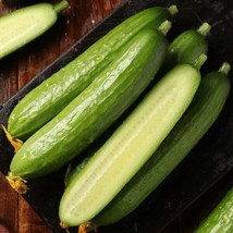 15 Chinese Fruit Cucumber Seeds Burpless Persian Mini Cucumbergarden Bea... - £6.77 GBP