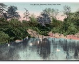 The Swans at Central Park New York CIty NY NYC UNP DB Postcard U20 - £2.06 GBP