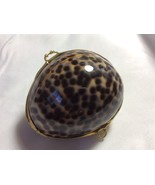 Tortoise color Cowry Sea Shell Brass Hinged Snuff Pill coin Jewelry Trin... - £14.12 GBP