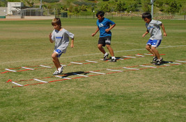 Football Speed Agility Training Sports Equipment Ladder 15 Feet Soccer - $24.69