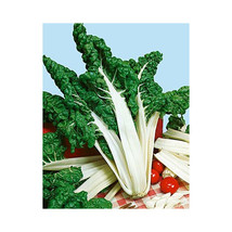 Swiss Chard Fordhook Giant Heirloom Vegetable By Seeds Kingdom 1/4 Lb Seeds Fres - $26.90