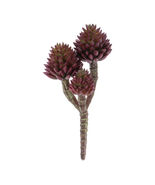 Succulent Plant Pick (Set of 6) - 588744 - $1,257.27 MXN