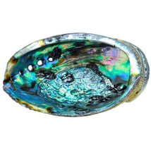 Beautiful Abalone Shells - £13.44 GBP