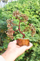 Labradorite Crystal Tree | Copper Wire  Bonsai for Energy &amp; Creativity Gift - $39.59+