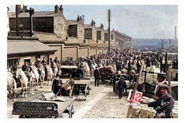 ptc2580 - Lancs. - Military with their Horses at Liverpool Hill Yard - p... - €2,44 EUR