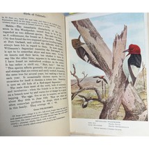 A History of the Birds of Colorado Sclater Wm. Lutley Witherby 1st UK Ed... - £75.54 GBP