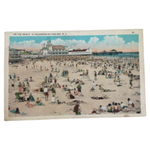 Wildwood by the Sea Vintage Postcard New Jersey Beach Vacation White Border - £10.14 GBP