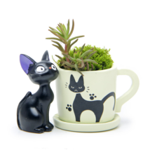 Black Cat Figurines Resin Cacti Micro Landscape Flowers Succulent Plants Pot - $13.67