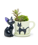 Black Cat Figurines Resin Cacti Micro Landscape Flowers Succulent Plants... - $13.67