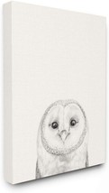 Stupell Industries Owl Portrait Grey Drawing Design, Designed By, Canvas - £47.95 GBP