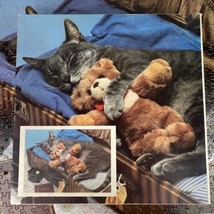 550 Pc Puzzle Sleeping Cat Teddy Bear Suitcase Destination Paradise Excl... - $21.78