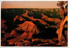 Grand Canyon Arizona Postcard Fred Harvey Posted 1986 - £4.11 GBP