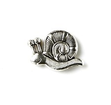 Snail Fridge Magnet - Powerful Neodymium - £2.29 GBP