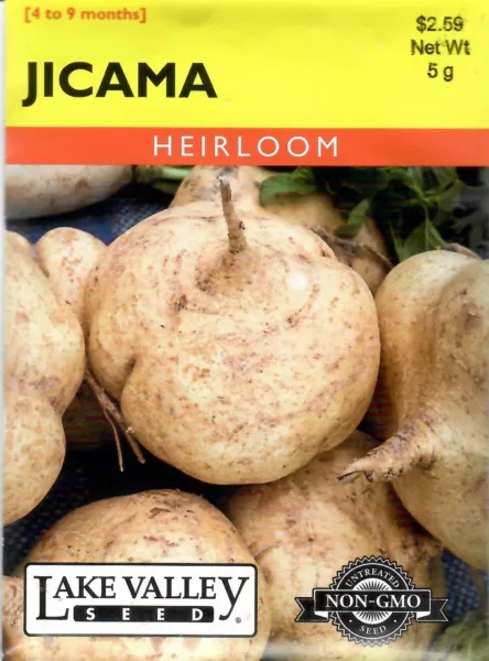 Jicama Heirloom Vegetable Seeds Non Gmo Lake Valley 12/24 Fresh New - £7.78 GBP