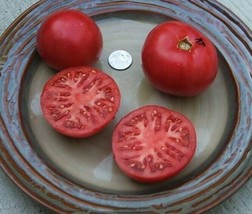 BStore 45 Burgundy Tomato Seeds Heirloom - £6.75 GBP
