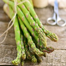 50 Asparagus Plants Mary Washington Asparagus Crowns 2 Year Asparagus Cr... - $112.40