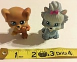 2006 Chic Boutique Dog Lot Toy Accessory Hard to Find SKU 057-25 - $6.88