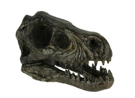 Zeckos Velociraptor Dinosaur Head Fossil Statue Small - £29.36 GBP