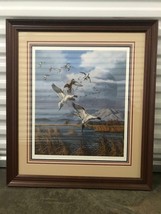 David A. Maass &quot;Pintails Pacific Flyway&quot; Signed Litho Print Flying Ducks Framed - £63.30 GBP