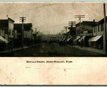 Metcalf Street View Sedro-Wooley Washington WA UNP UDB Postcard C15 - $44.50