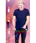 One Direction Niall Horan signed photo - $100.00