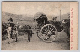 Italy Surroundings Of Rome Wines Carts And Costumes Postcard Y30 - £8.07 GBP