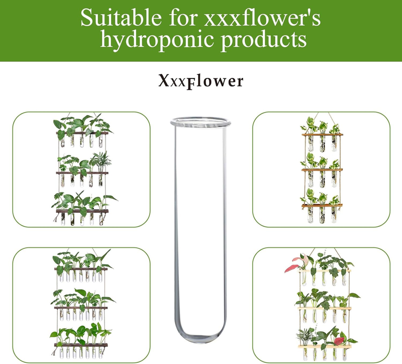 XXXFLOWER Glass Propagation Stations Accessories Glass Test Tubes Tiered Planter Item image 3