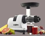 Omega All in One Nutrition System Cold Press Juicer, in Silver (J8006HDS... - $222.75