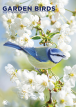 Garden Birds Calendar 2026 - $19.99